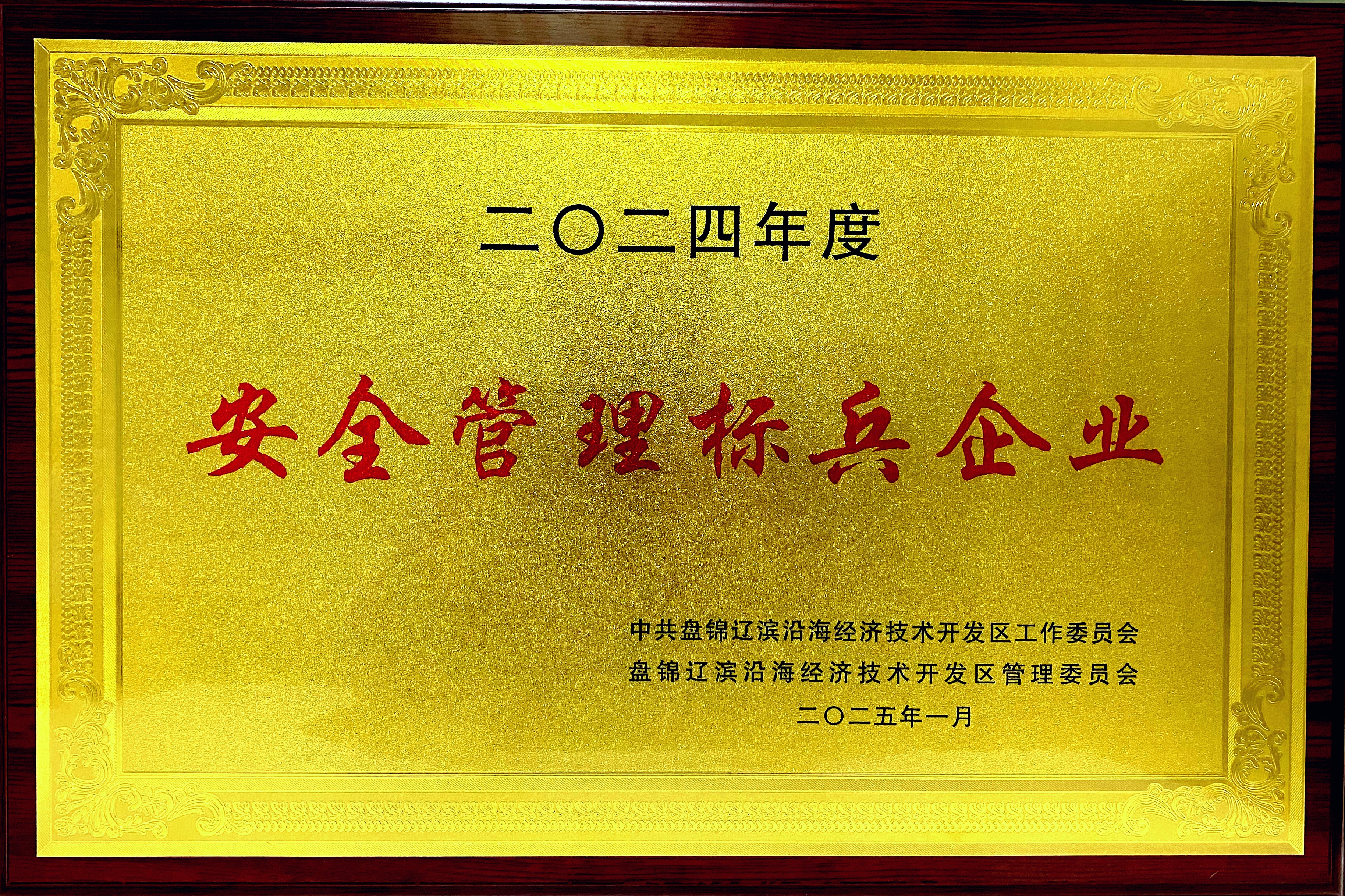 “安全治理标兵企业”奖牌.jpg